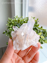 Load image into Gallery viewer, Small Angel Aura Quartz Cluster [012]
