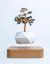 Load image into Gallery viewer, NEW Floating Feng Shui Crystal Bonsai Tree
