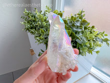 Load image into Gallery viewer, Small Angel Aura Quartz Cluster [005]
