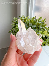 Load image into Gallery viewer, Small Angel Aura Quartz Cluster [001]
