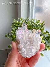 Load image into Gallery viewer, Small Angel Aura Quartz Cluster [007]
