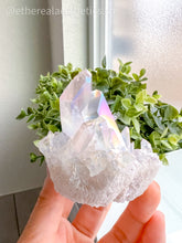 Load image into Gallery viewer, Small Angel Aura Quartz Cluster [016]
