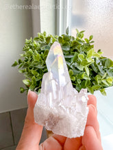 Load image into Gallery viewer, Small Angel Aura Quartz Cluster [016]
